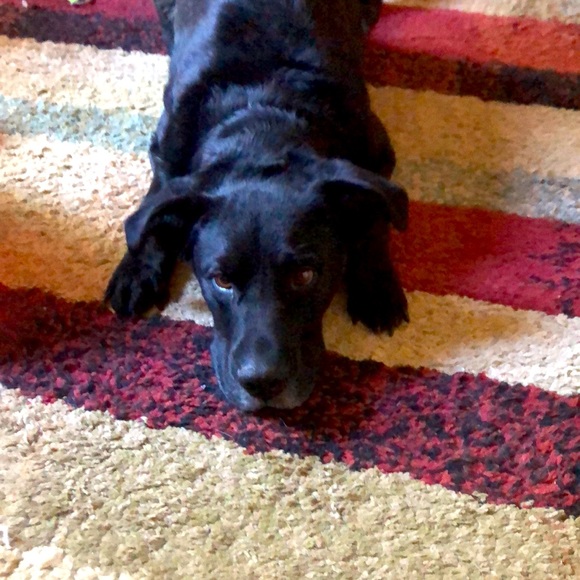 Meet your Posher, Denise - Picture 3 of 3